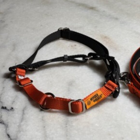 WONDER WALKER HARNESS & LEASH - NEVER WORN (photo of dog only for example) - Picture 2 of 5